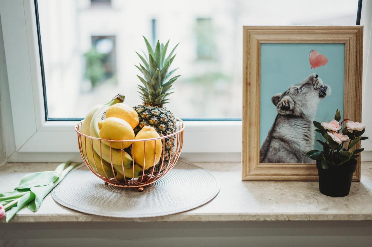 Fatcat Apartments Kraków Zewnętrze zdjęcie